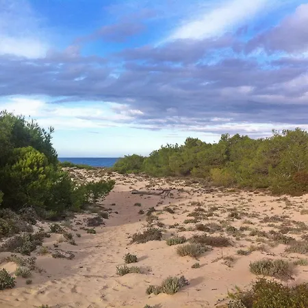Apartment 50m From The With A Gym, Son Serra De Marina, Mallorca